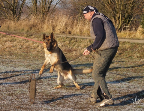 The christmas training 27.12.2006